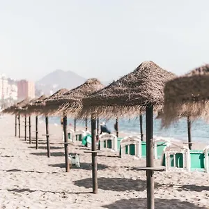 South Nature , Málaga Spagna